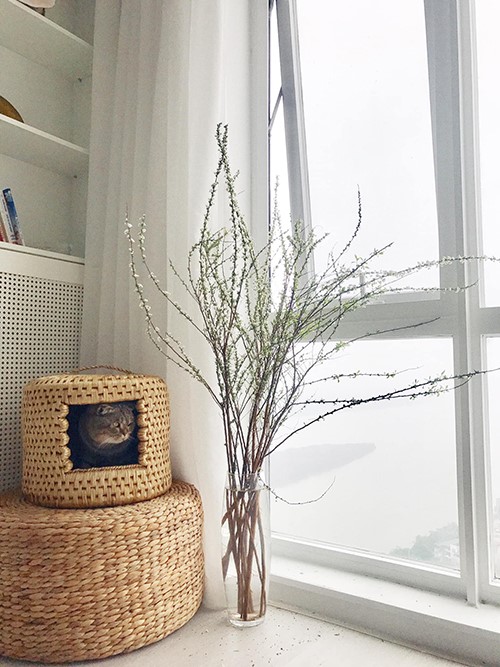 88064312-2673245862792675-6519-1768-9999-1584853558